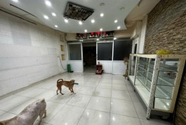 BÁN NHÀ MẶT TIỀN 60M2 5 TẦNG NGANG 4.8M NỞ HẬU KD ĐỈNH KHU VIP PXL PHAN XÍCH LONG  9.99 TỶ